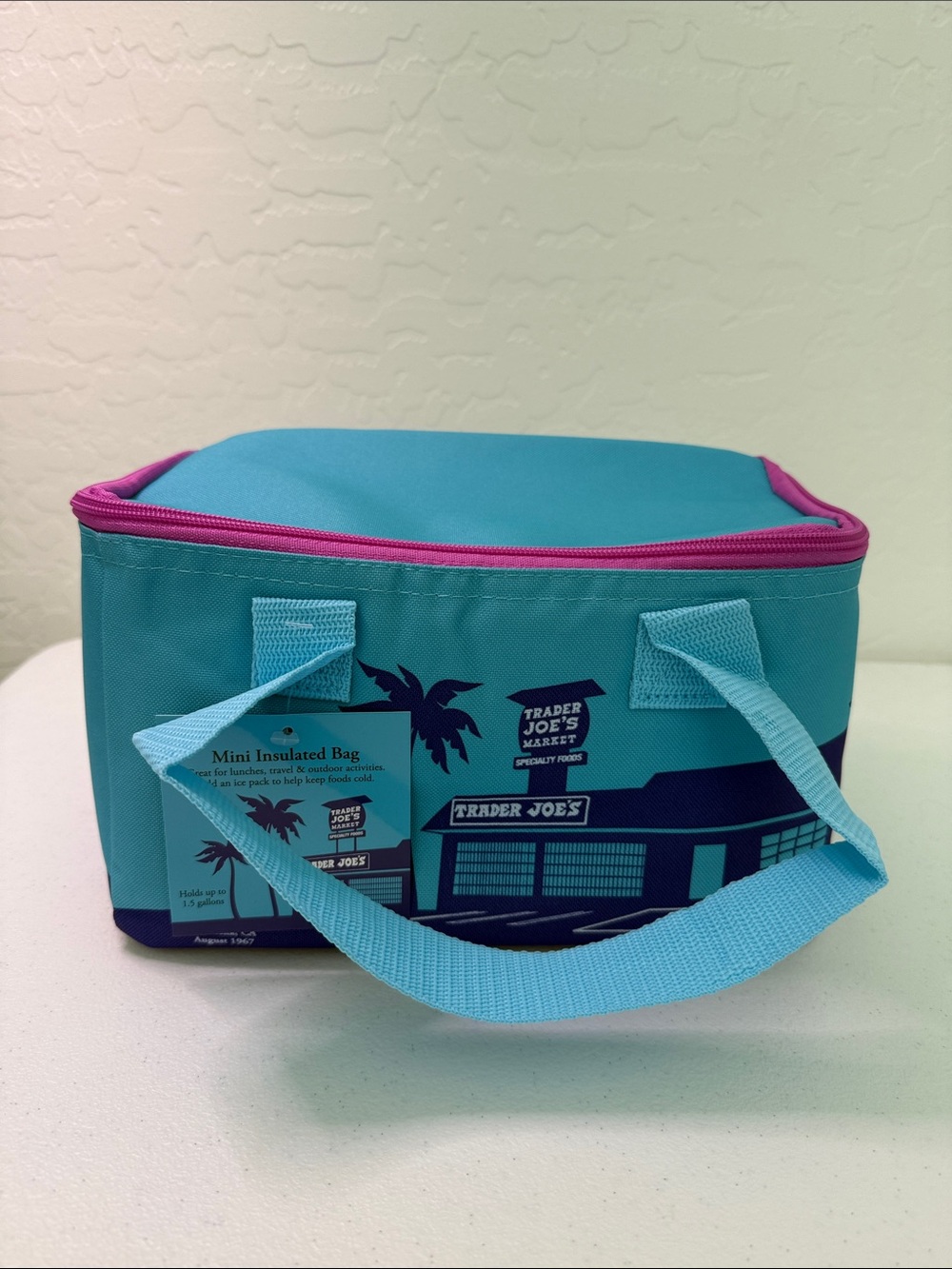 Trader Joe's Mini Insulated Lunch Bag - Teal with Pink Trim